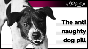 Read more about the article The anti naughty dog pill