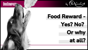 Read more about the article Food Reward – Yes? No? Or why at all?
